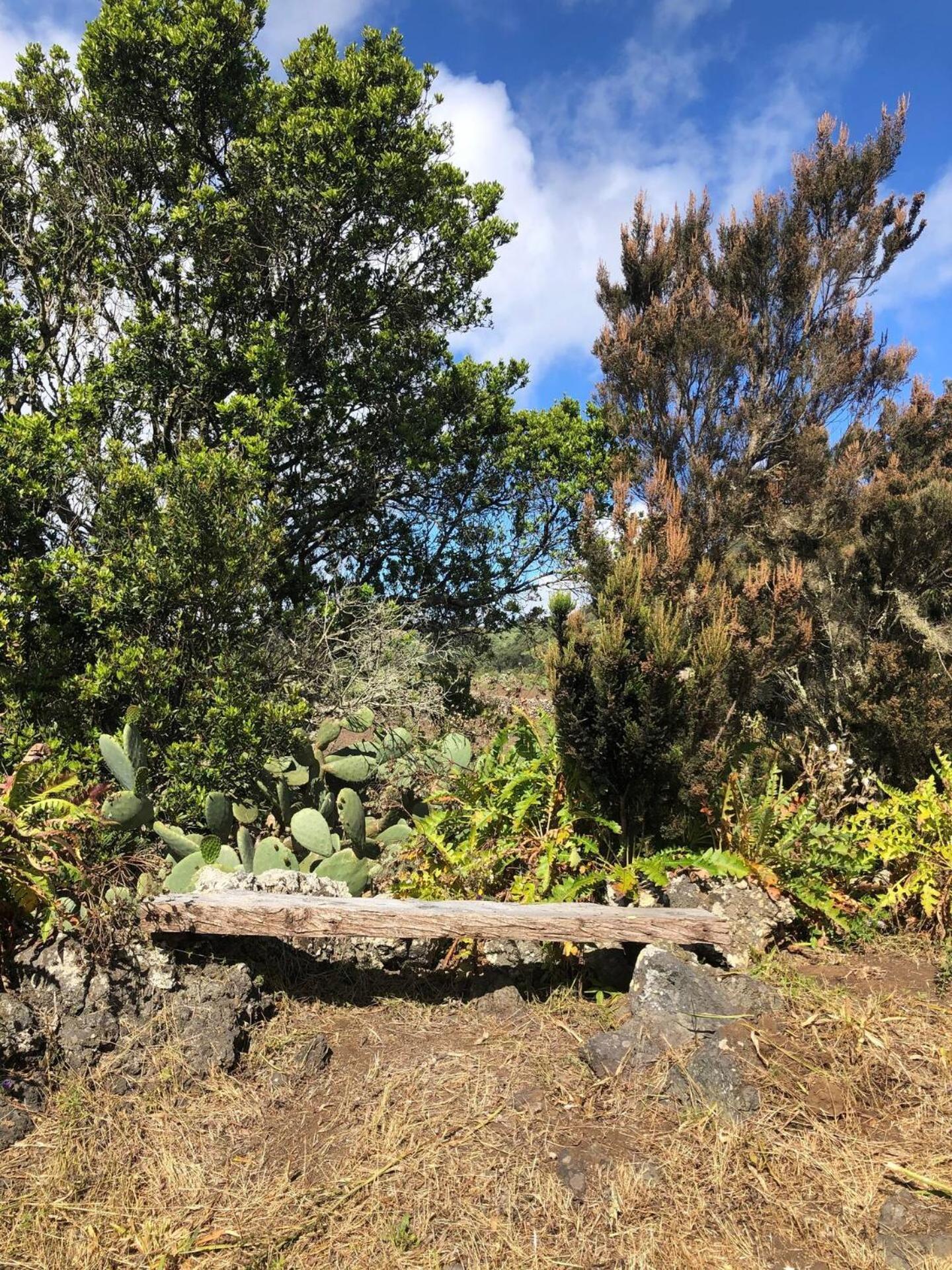 Casa rural Casas Del Monte Ii Valverde (El Hierro)